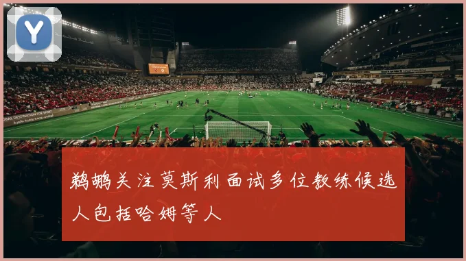 鹈鹕关注莫斯利面试多位教练候选人包括哈姆等人