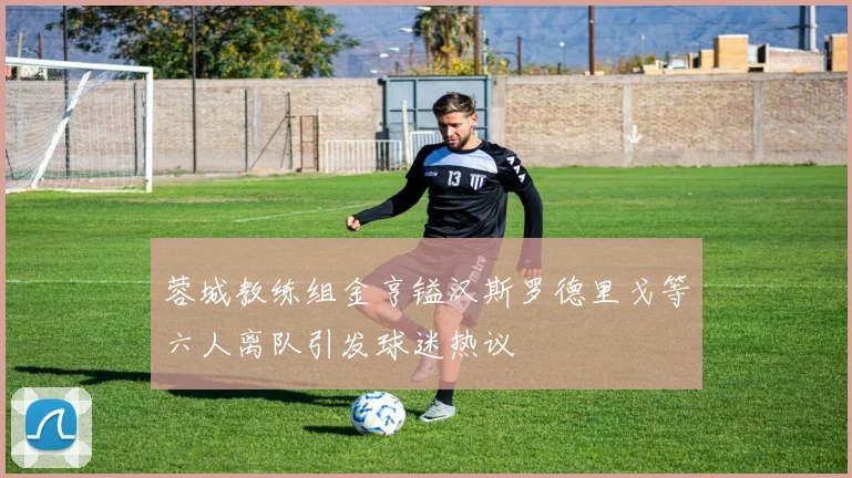 蓉城教练组金亨镒汉斯罗德里戈等六人离队引发球迷热议